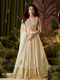 Lehenga Choli Set
