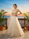 Lehenga choli set